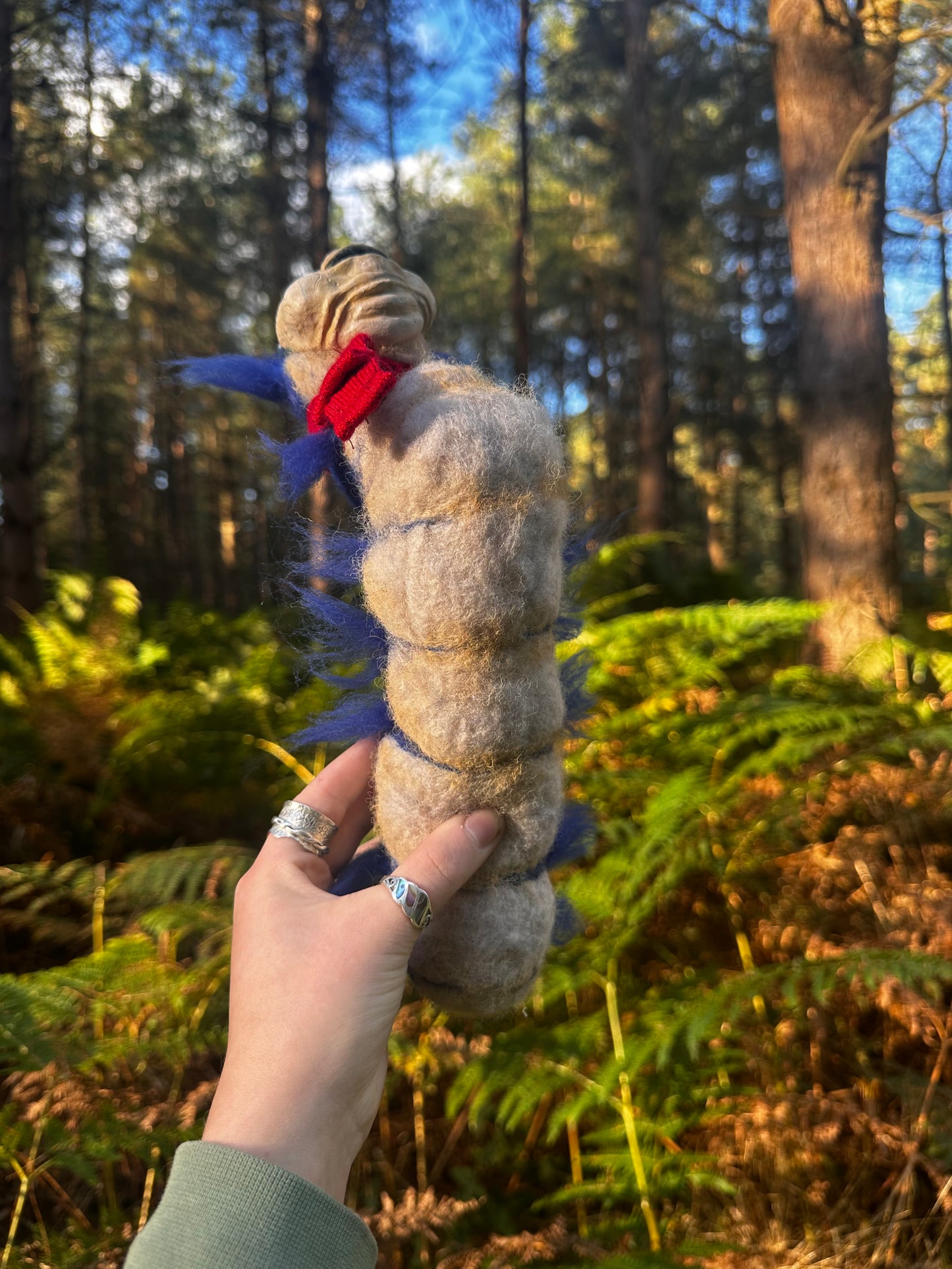The felted worm.
