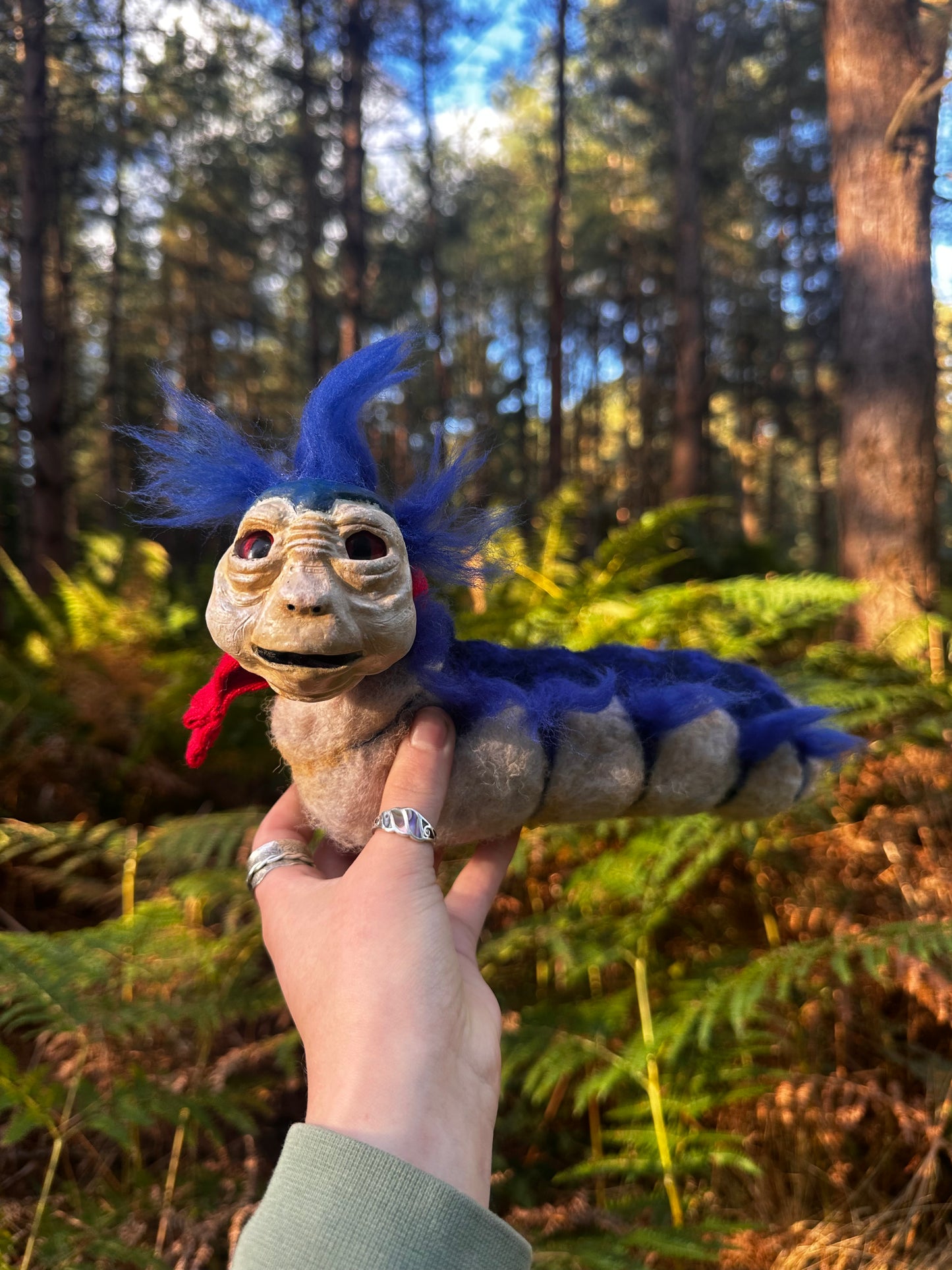 The felted worm.