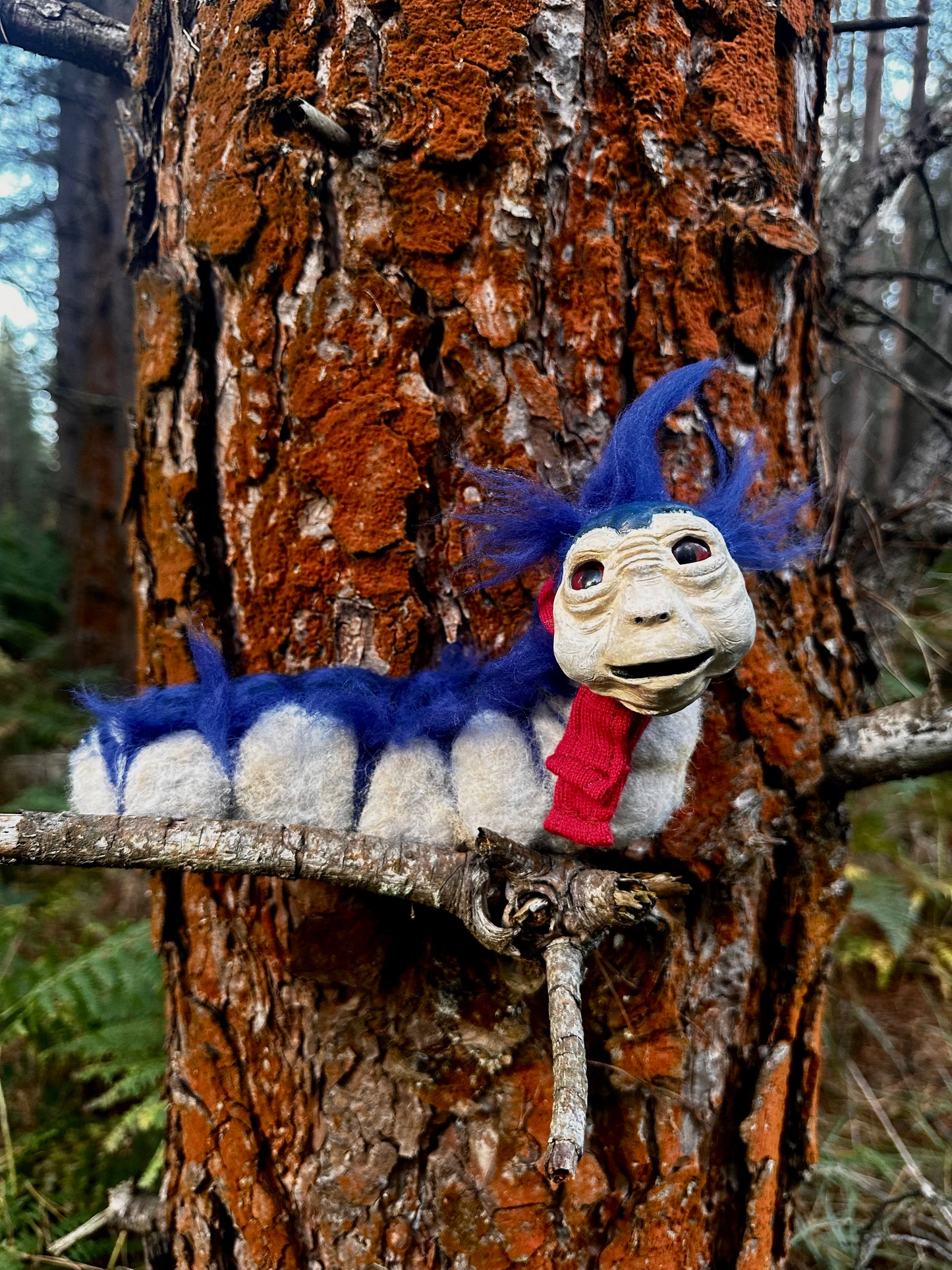 The felted worm.