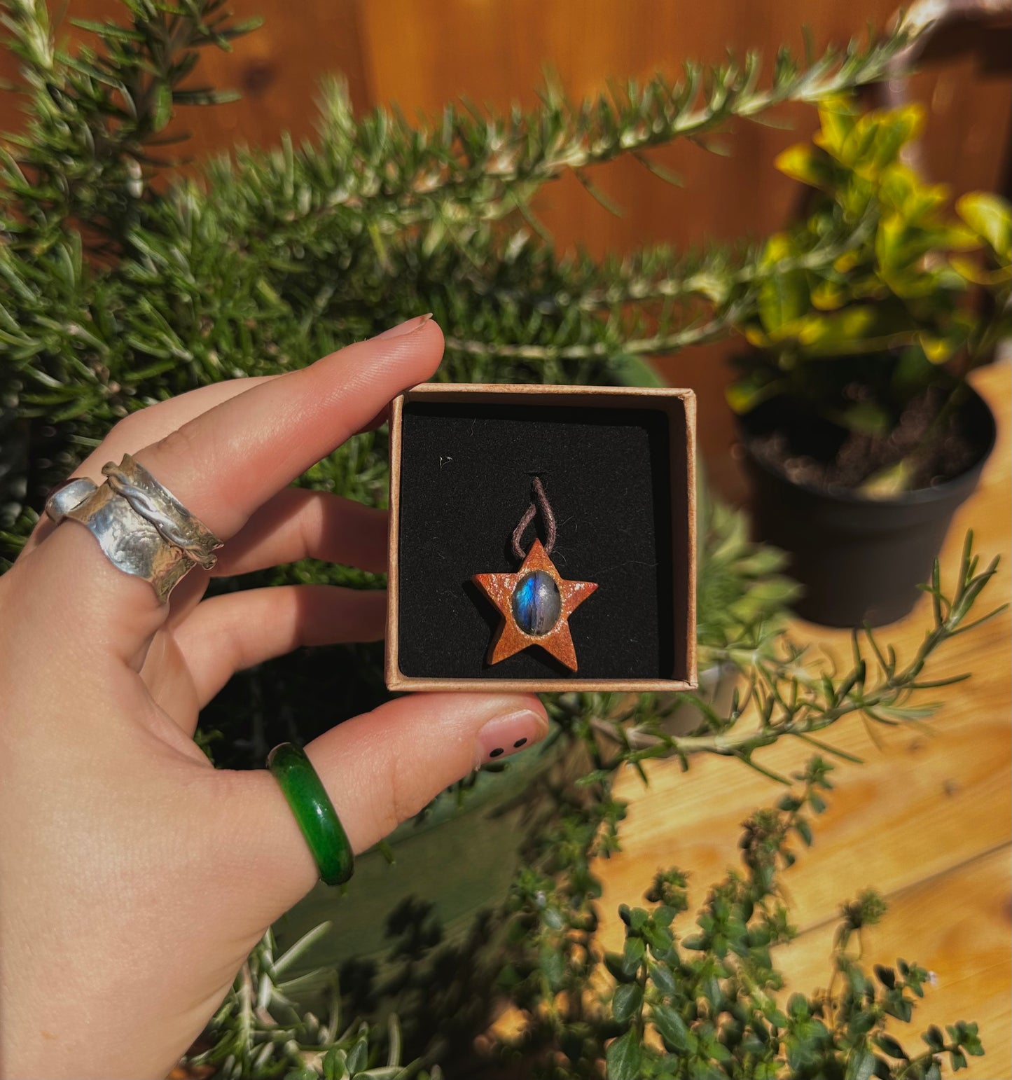 Avocado Seed star pendants.