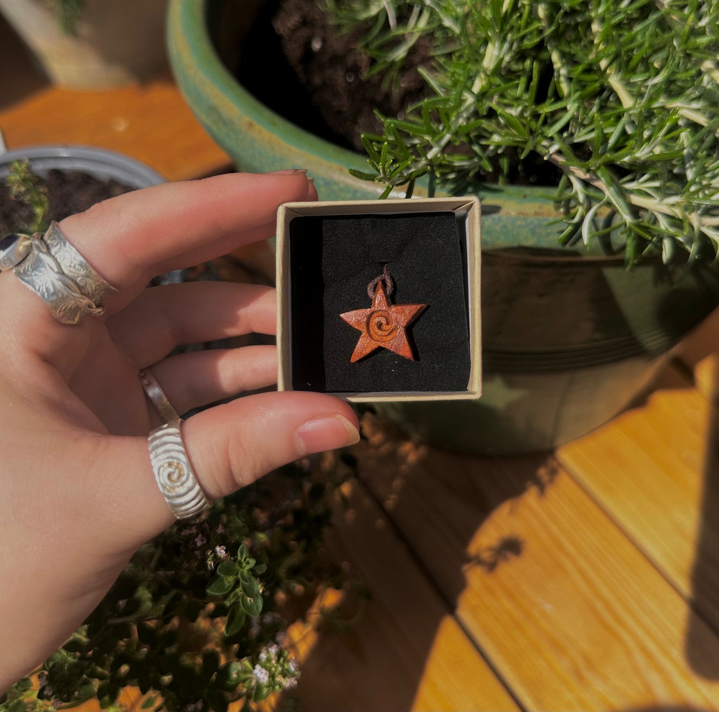 Avocado Seed star pendants.