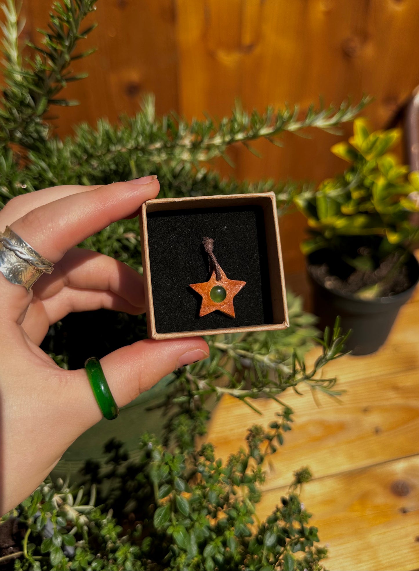 Avocado Seed star pendants.